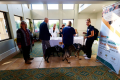 Dogs-at-Registration