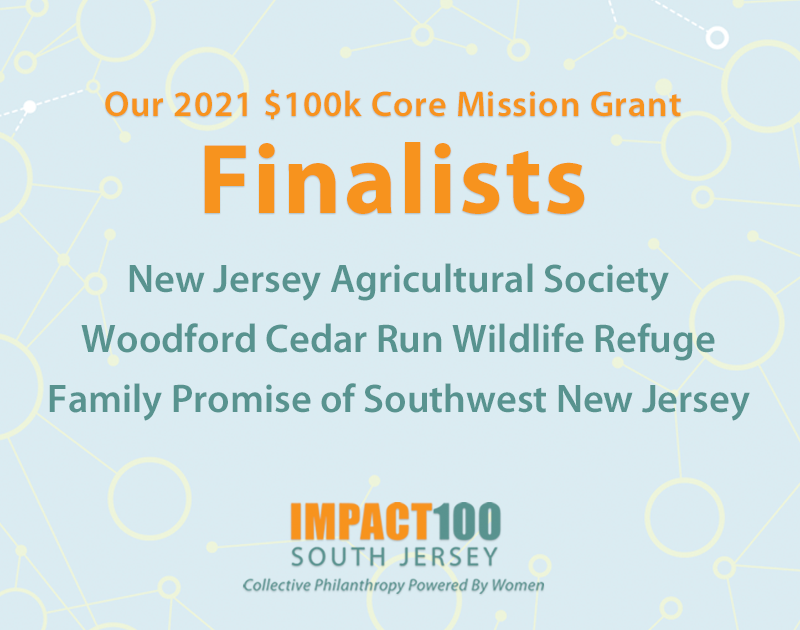 Announcing Our 2021 Grant Finalists!