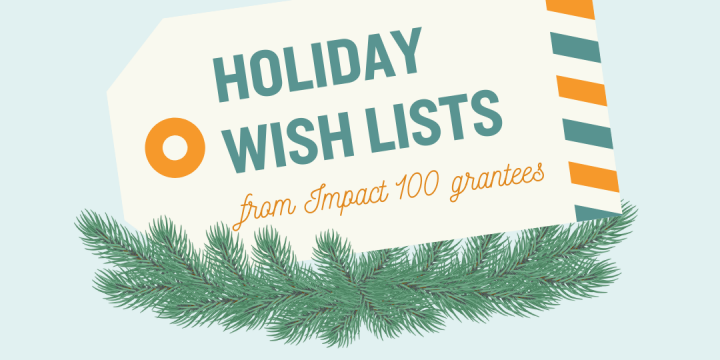 Grantee Holiday Wish Lists