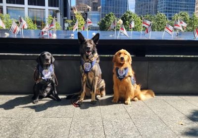 Community Heroes Grantee Spotlight: Crisis Response Canines